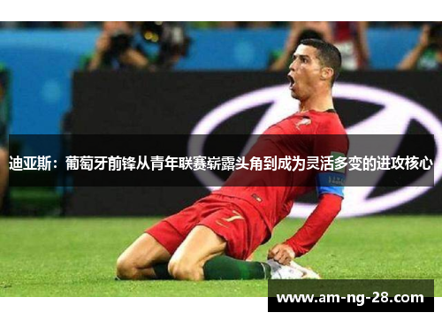 迪亚斯：葡萄牙前锋从青年联赛崭露头角到成为灵活多变的进攻核心