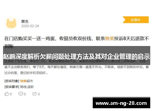 赵鹏深度解析欠薪问题处理方法及其对企业管理的启示