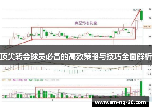 顶尖转会球员必备的高效策略与技巧全面解析 顶尖转会球员必备的高效策略与技巧全面解析