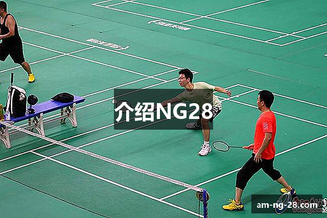 介绍NG28